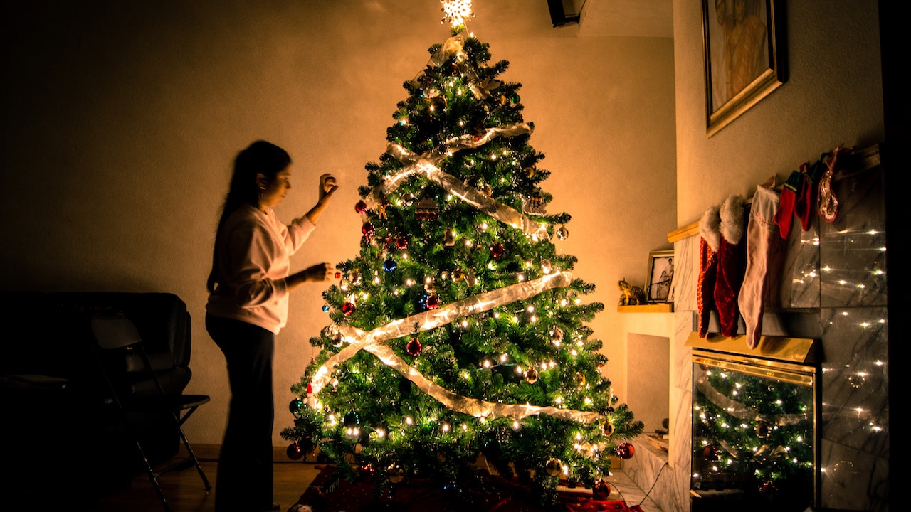 albero di natale vero